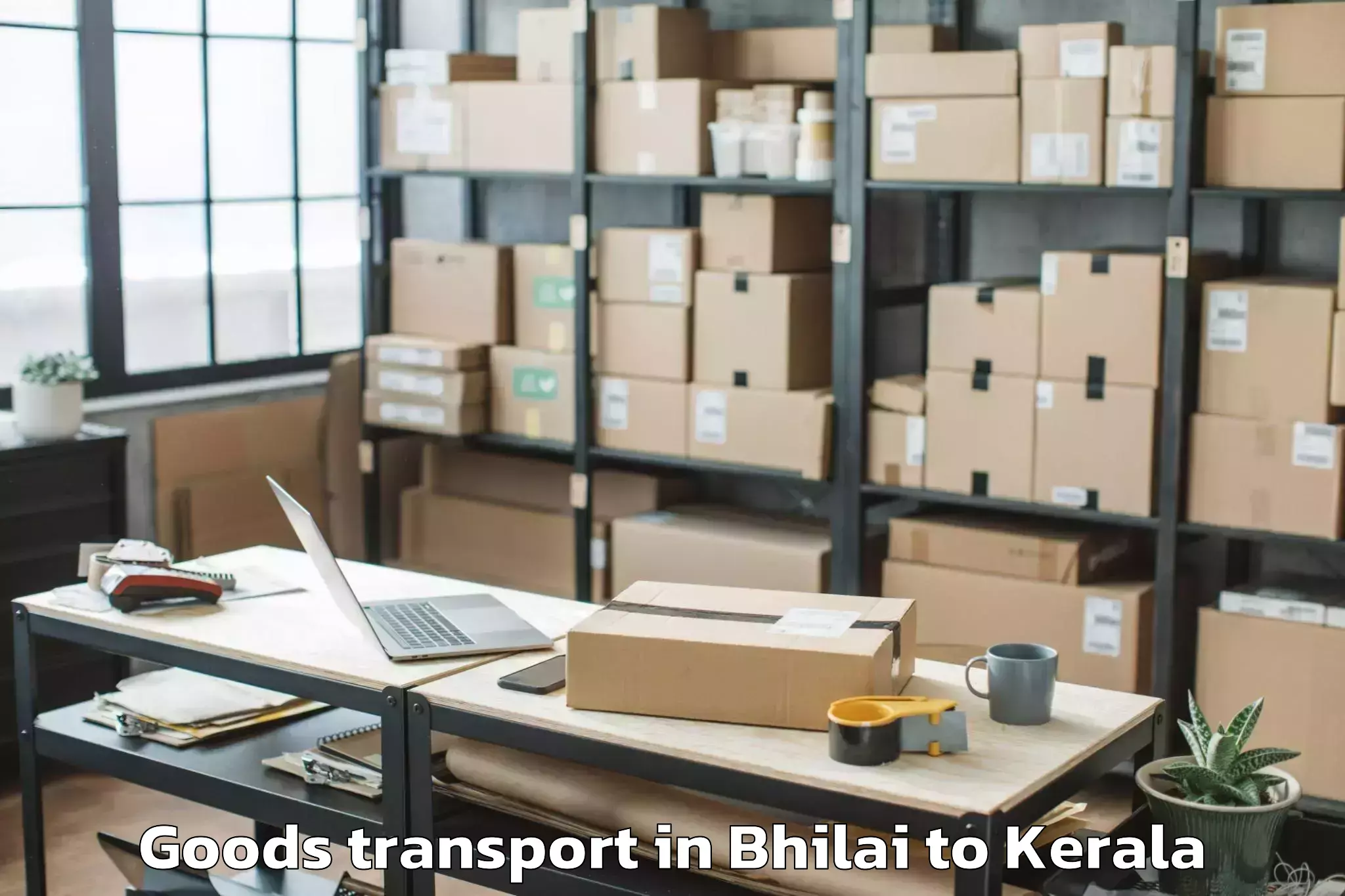 Professional Bhilai to Poojapura Goods Transport